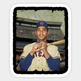 Billy Williams - 1961 NL ROY Sticker